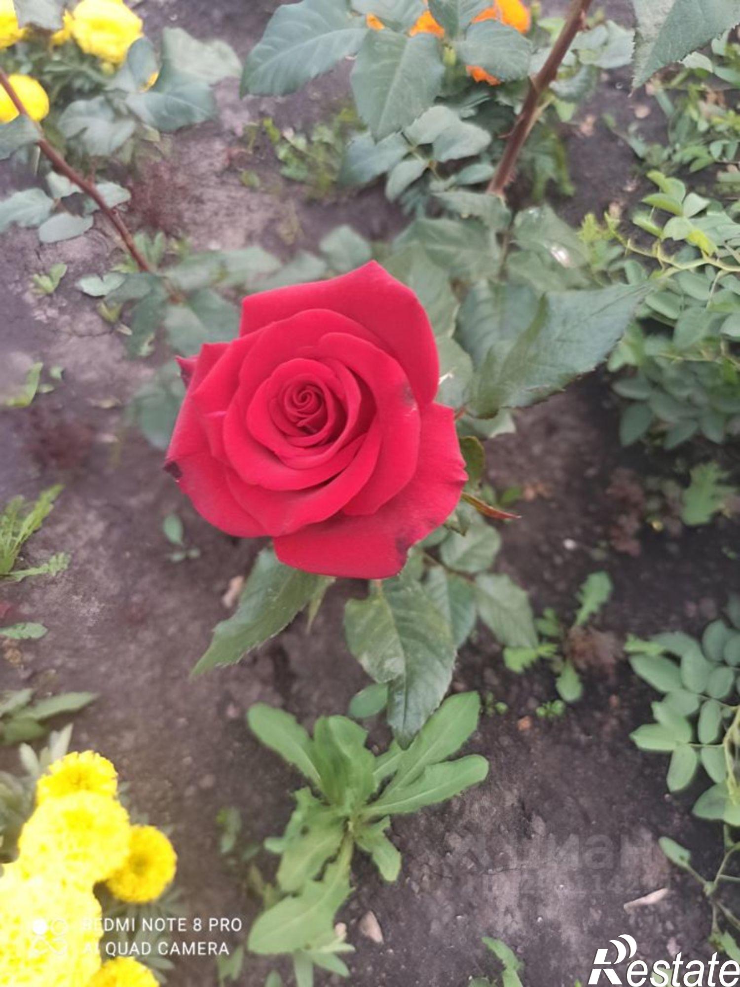 Купить дачу, дом, коттедж за 1 400 000 рублей на Караидельский район