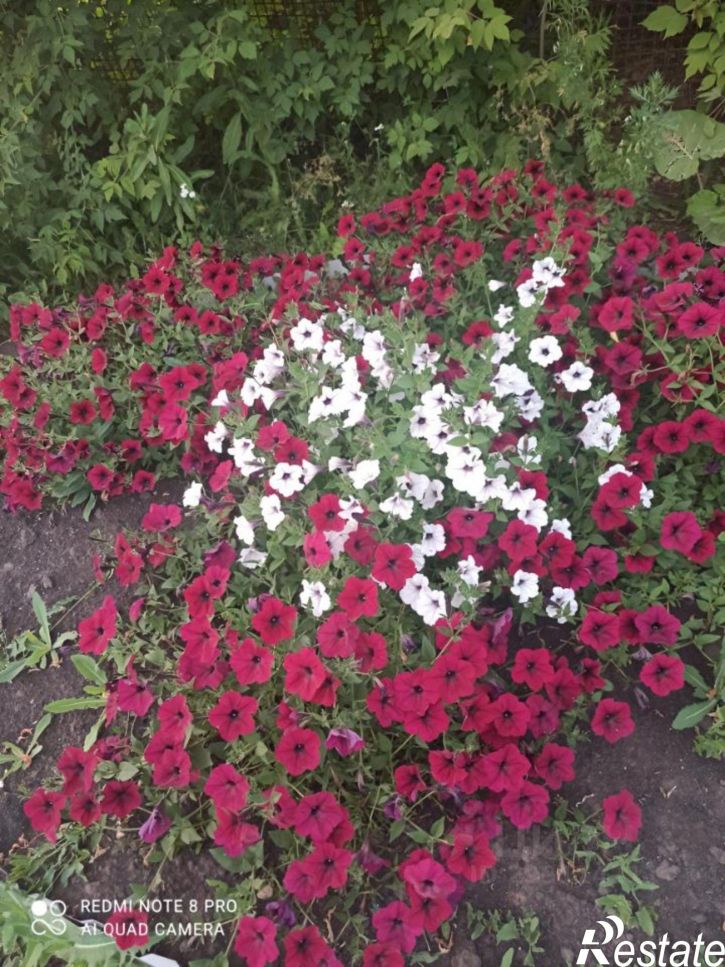 Коттедж/дом Караидельский район