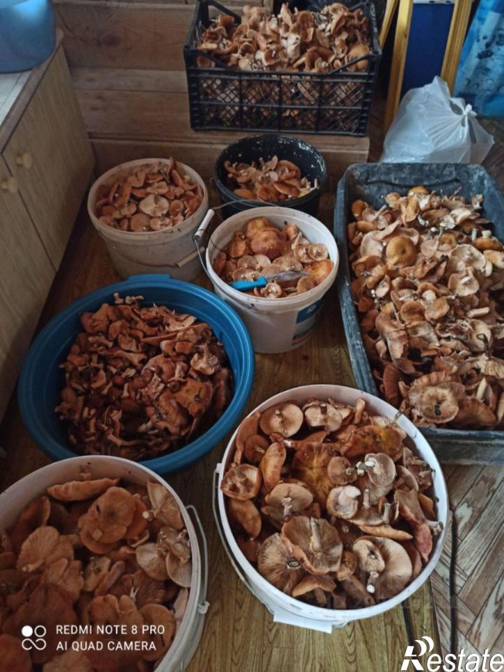 Коттедж/дом Караидельский район