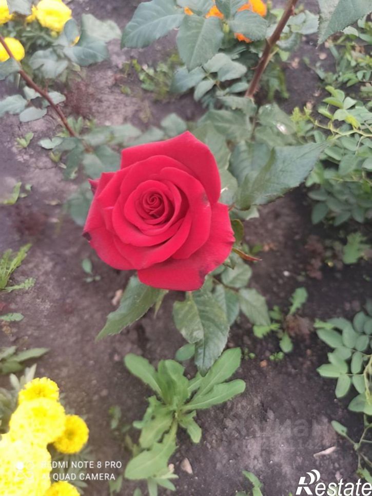 Коттедж/дом Караидельский район