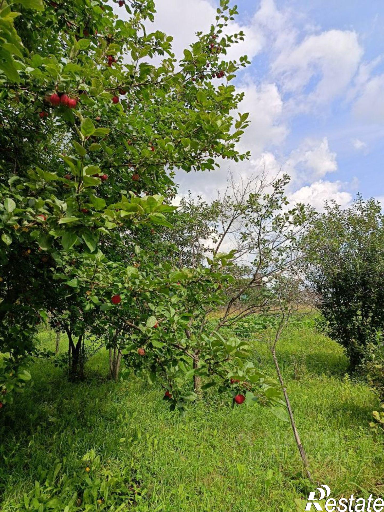 Купить дачу, дом, коттедж за 2 000 000 рублей на Иглинский район