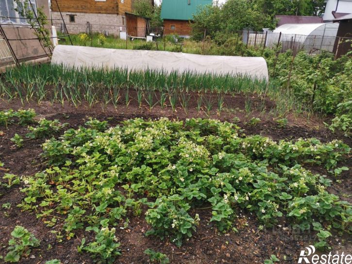 Коттедж/дом Уфа