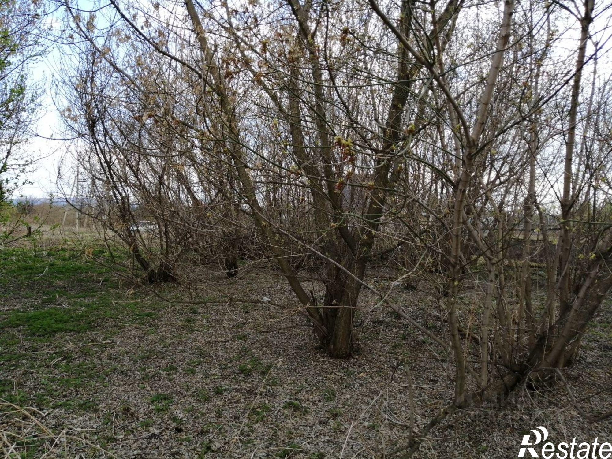 Купить землю, земельный участок за 165 000 рублей на Архангельский район