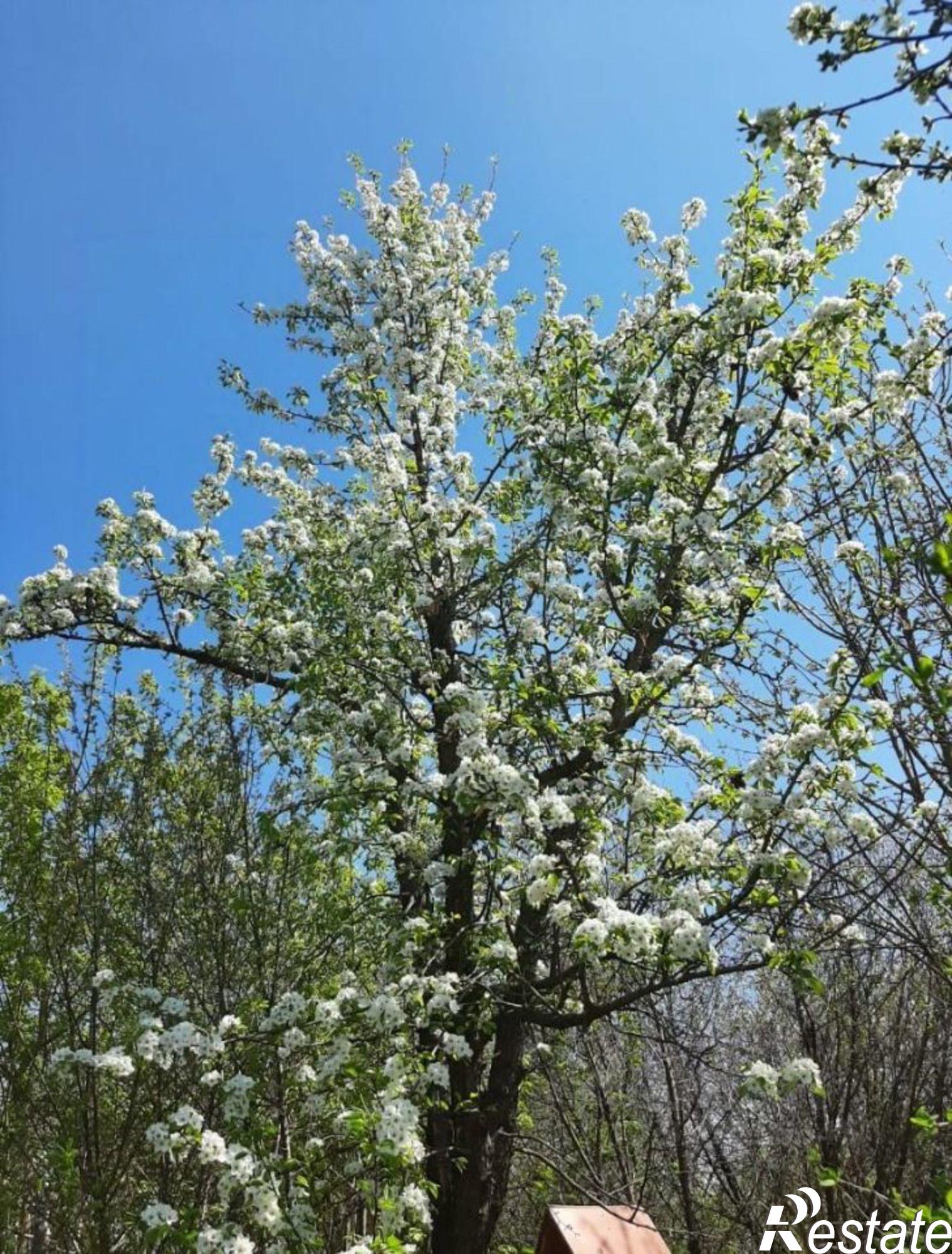 Купить землю, земельный участок за 700 000 рублей на Стерлитамак