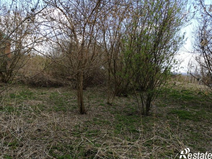 Земельный участок Архангельский район