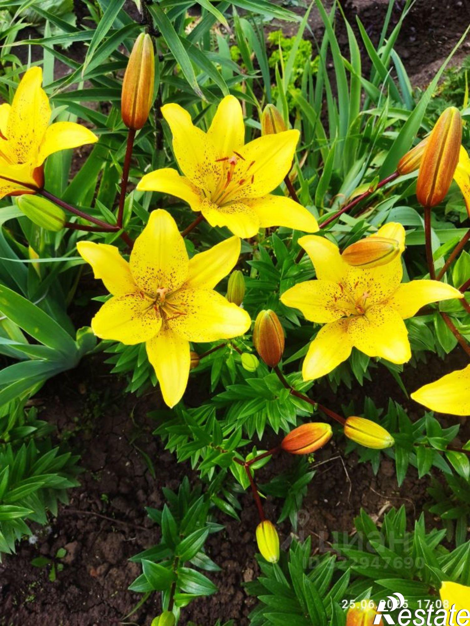 Купить дачу, дом, коттедж за 1 100 000 рублей