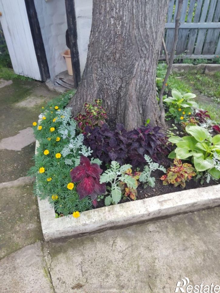 Коттедж/дом