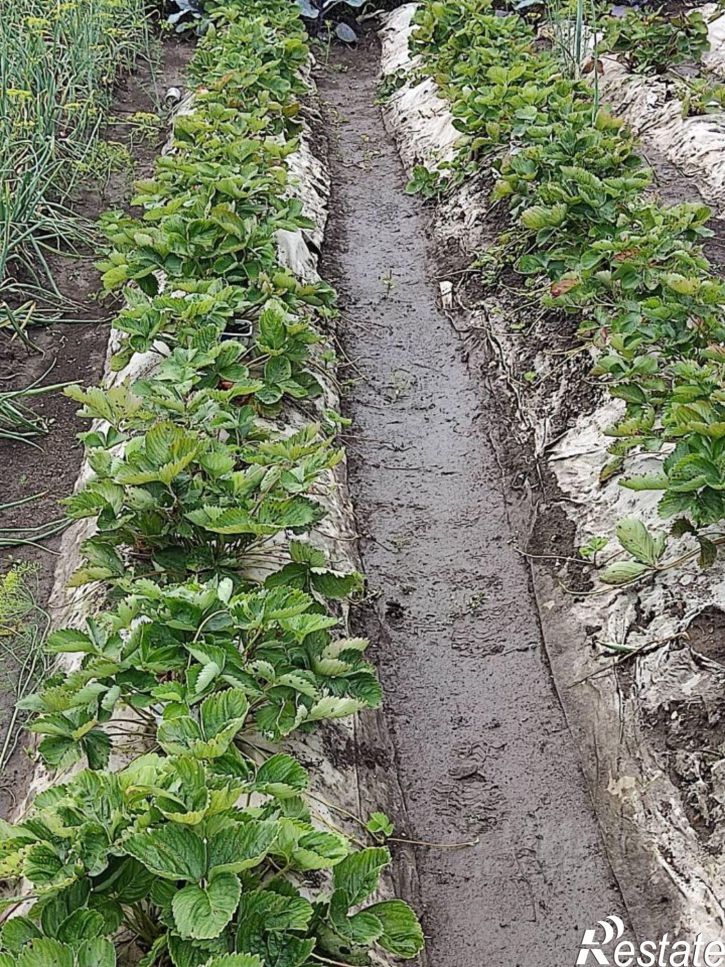 Коттедж/дом