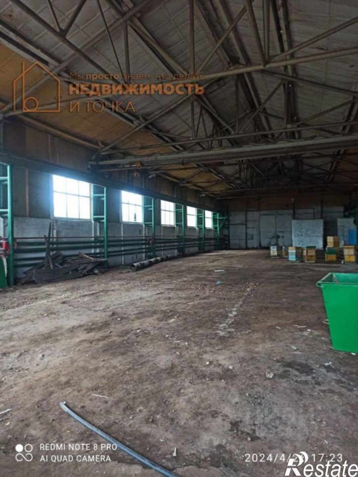 Помещение свободного назначения Янаульский р-н