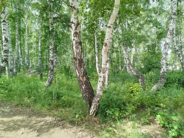 Земельный участок Матросова улица