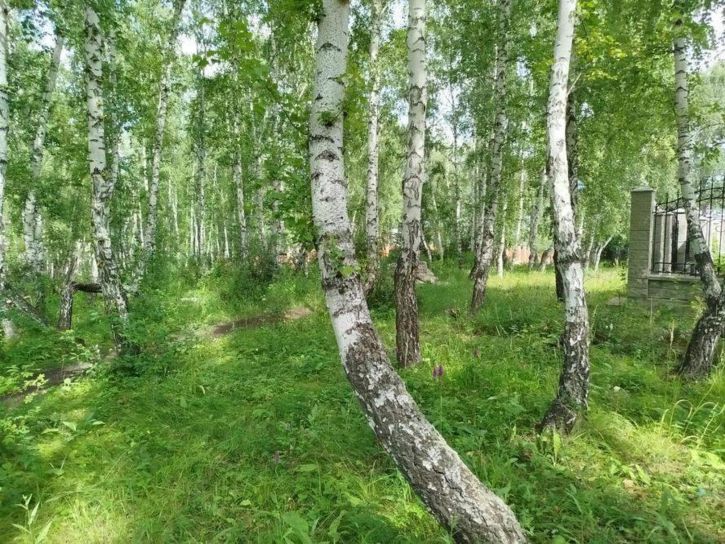 Земельный участок Матросова улица