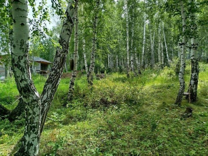 Земельный участок Матросова улица