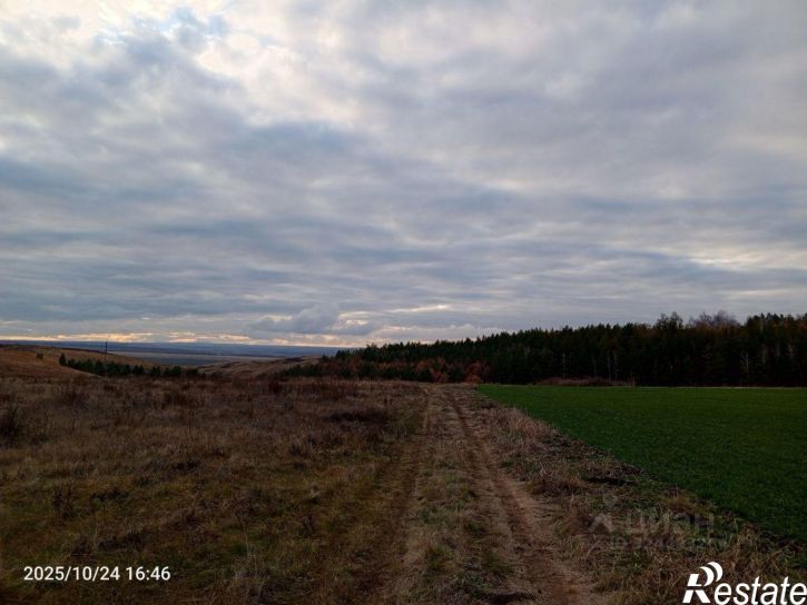 Земельный участок