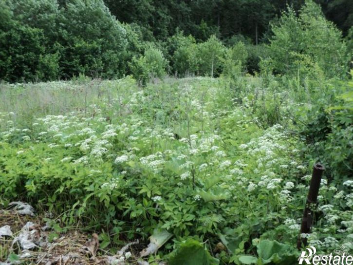 Земельный участок