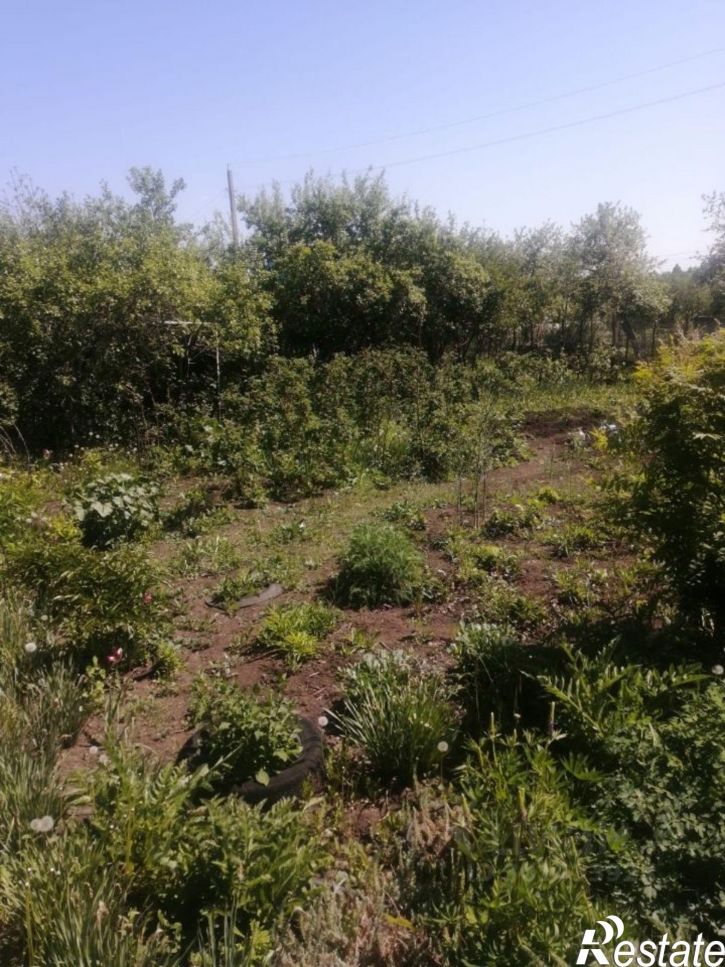 Земельный участок