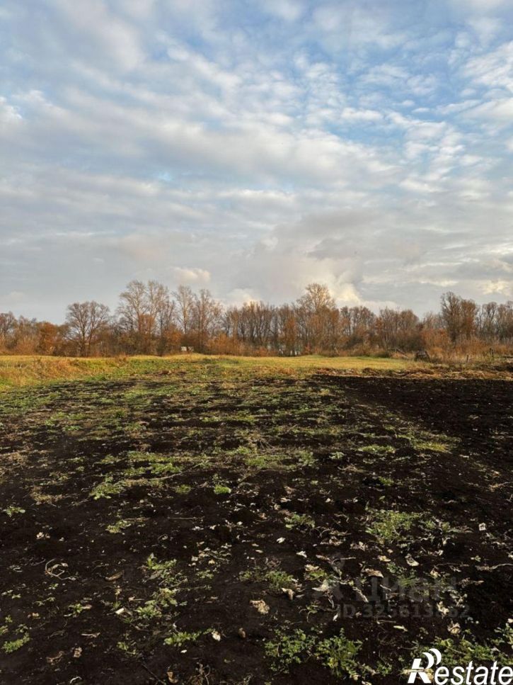 Коттедж/дом ул Красноармейская