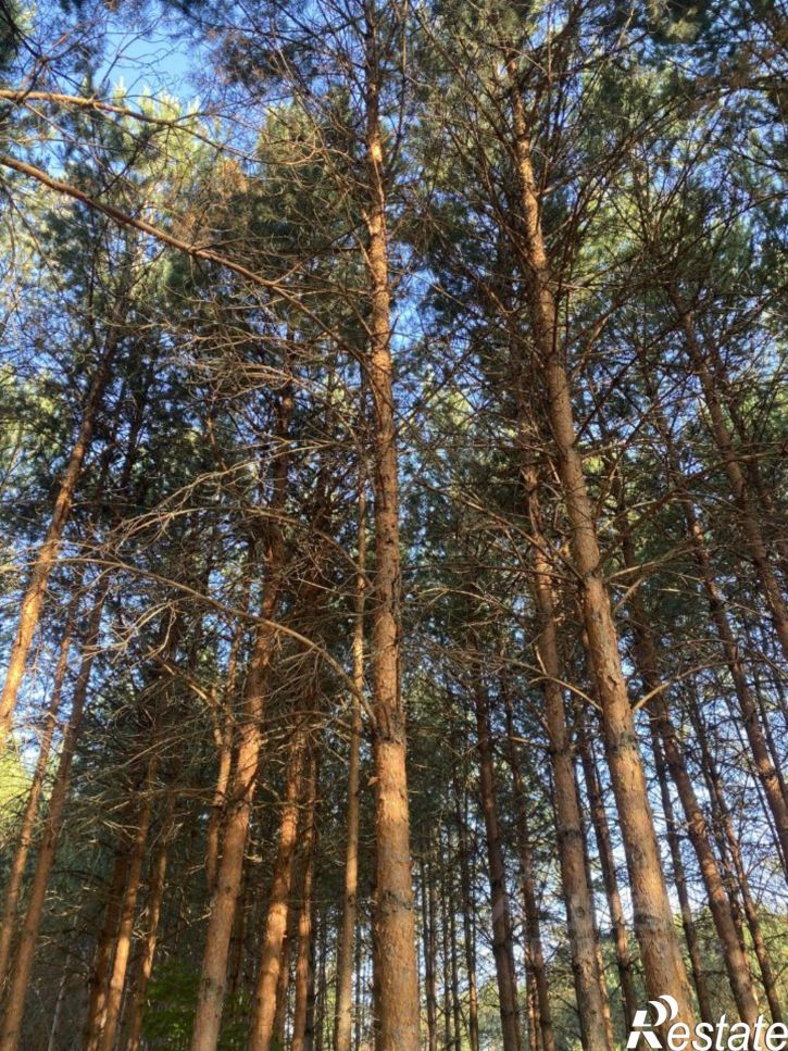 Земельный участок Иглинский район