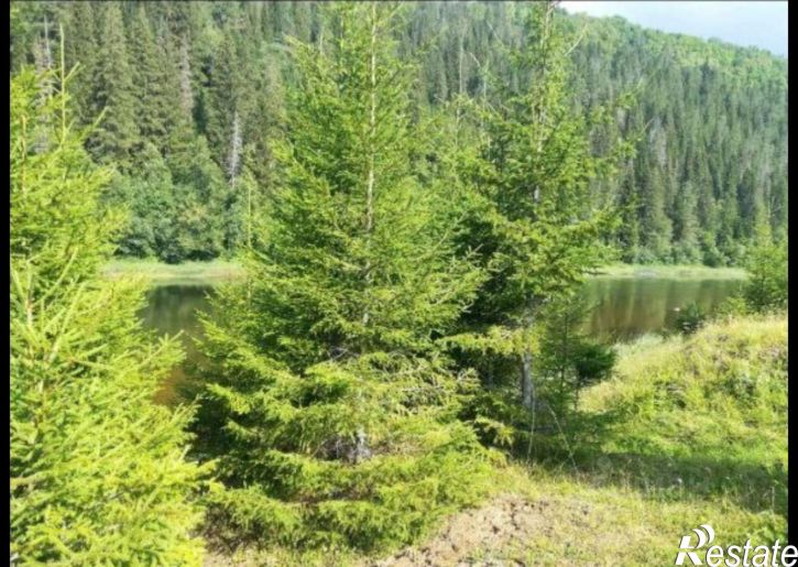 Земельный участок Дуванский сельсовет