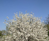 коттедж 60 кв м Уфимский район