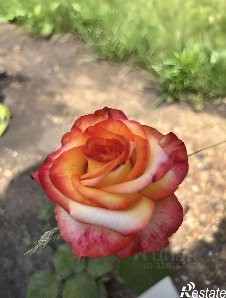 Коттедж/дом Уфимский район