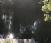 земля 12 сот 