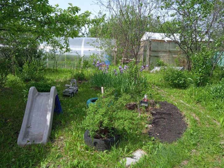 Коттедж/дом СНТ Стрела