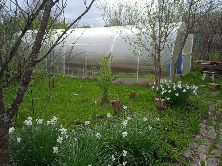 Коттедж/дом СНТ Стрела