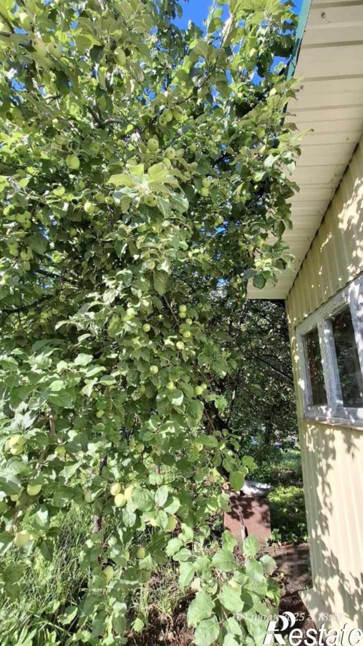 Земельный участок Иглинский район