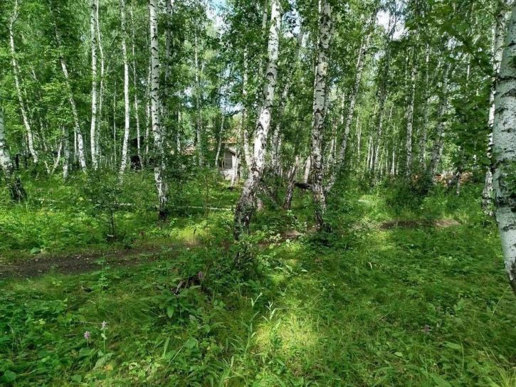 Земельный участок Матросова улица