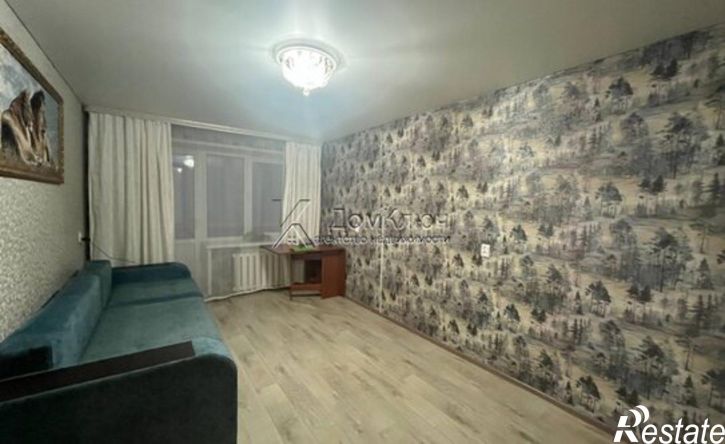 1-комн квартира улица Пушкина, 4,  д. 4