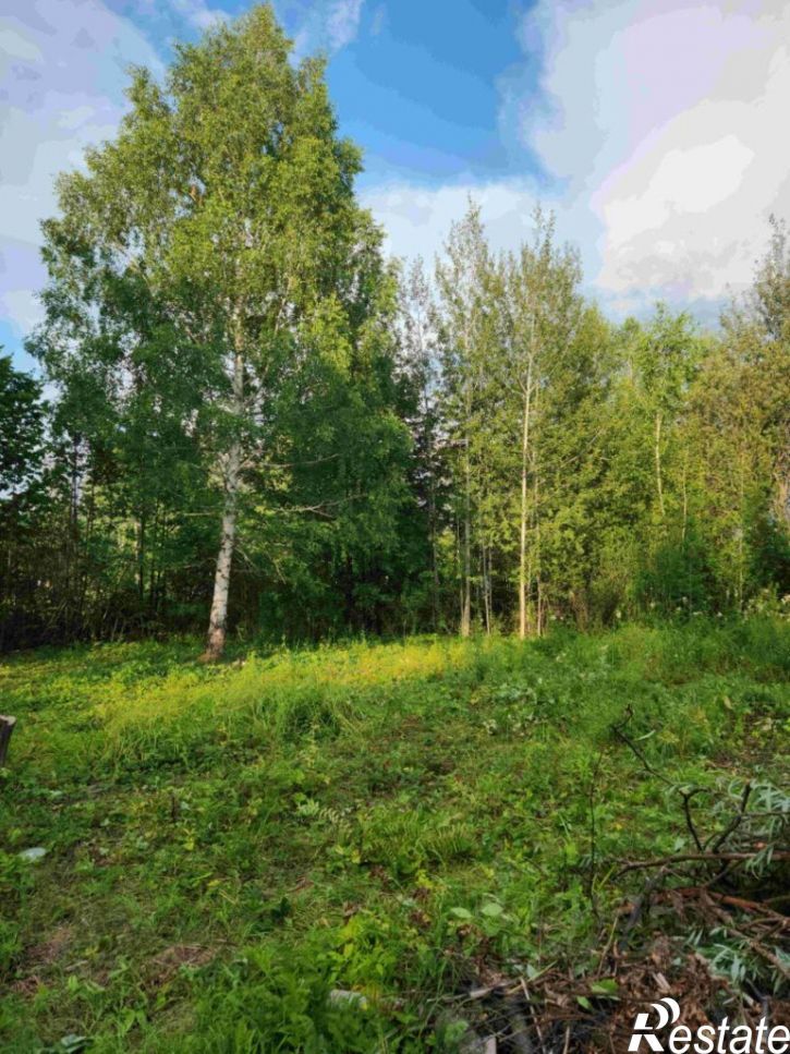 Земельный участок