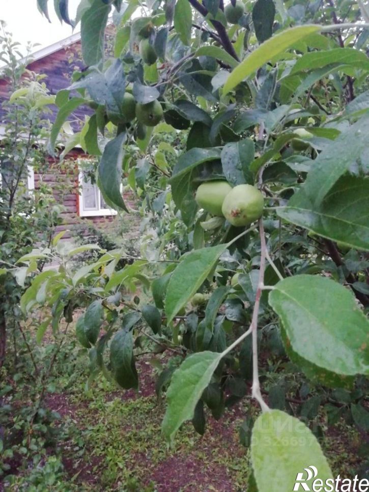 Коттедж/дом ул Энтузиастов, 26,  д. 26