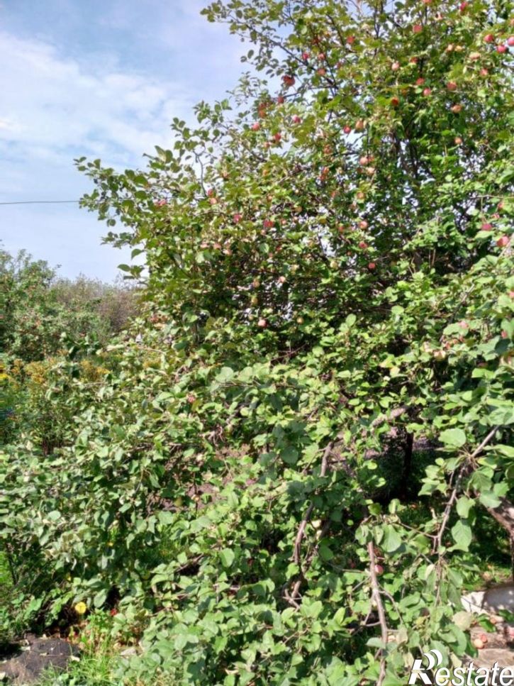 Коттедж/дом Уфимский район