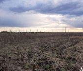 земля 12 сот 