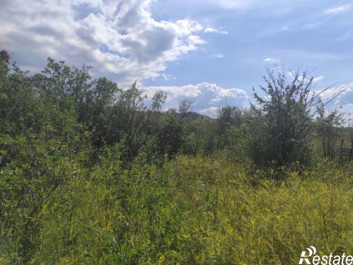 Коттедж/дом