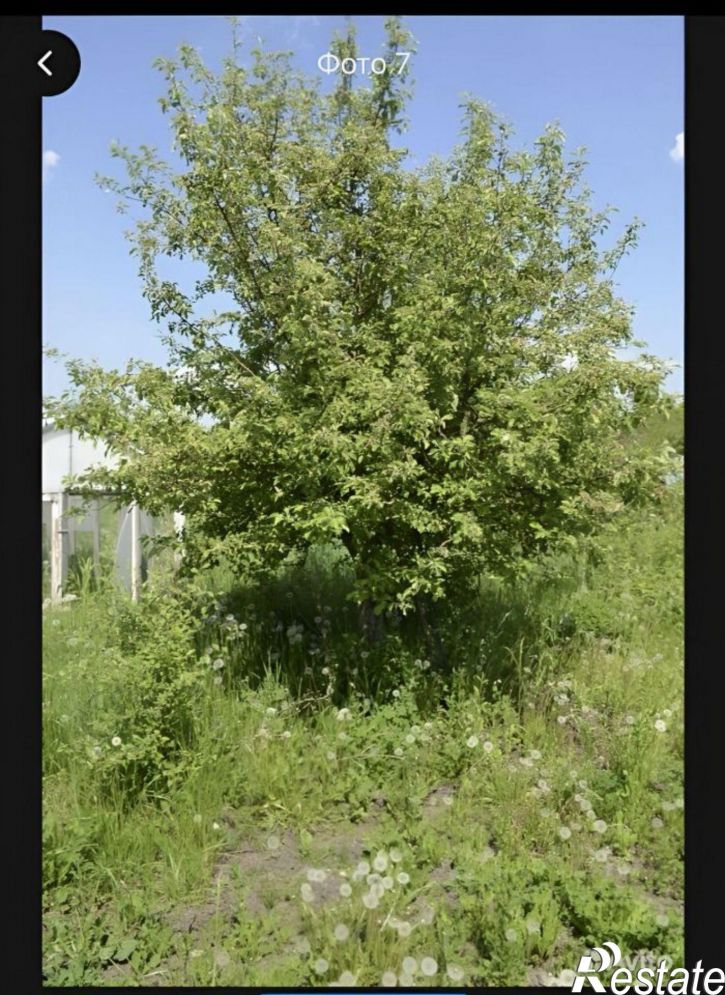 Земельный участок Иглинский район