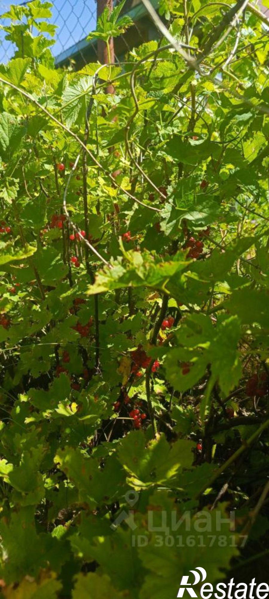 Купить дачу, дом, коттедж за 650 000 рублей на Чишминский район