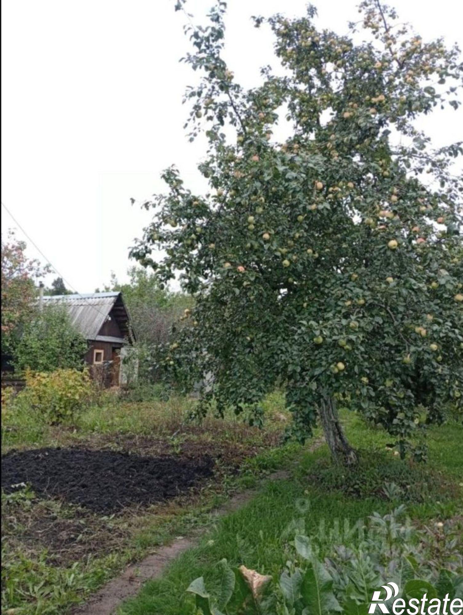 Купить дачу, дом, коттедж за 300 000 рублей