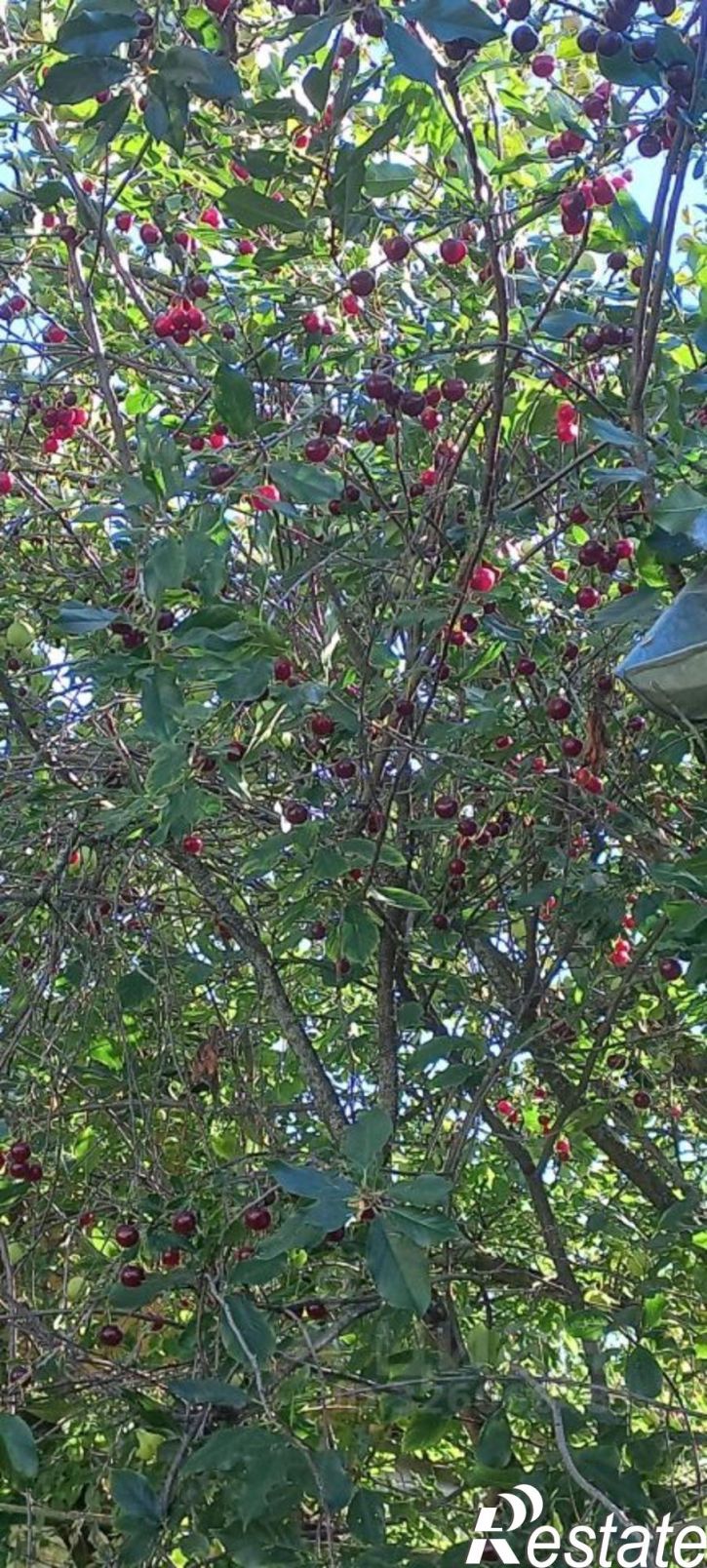 Коттедж/дом линия 5-ая, 30,  д. 30