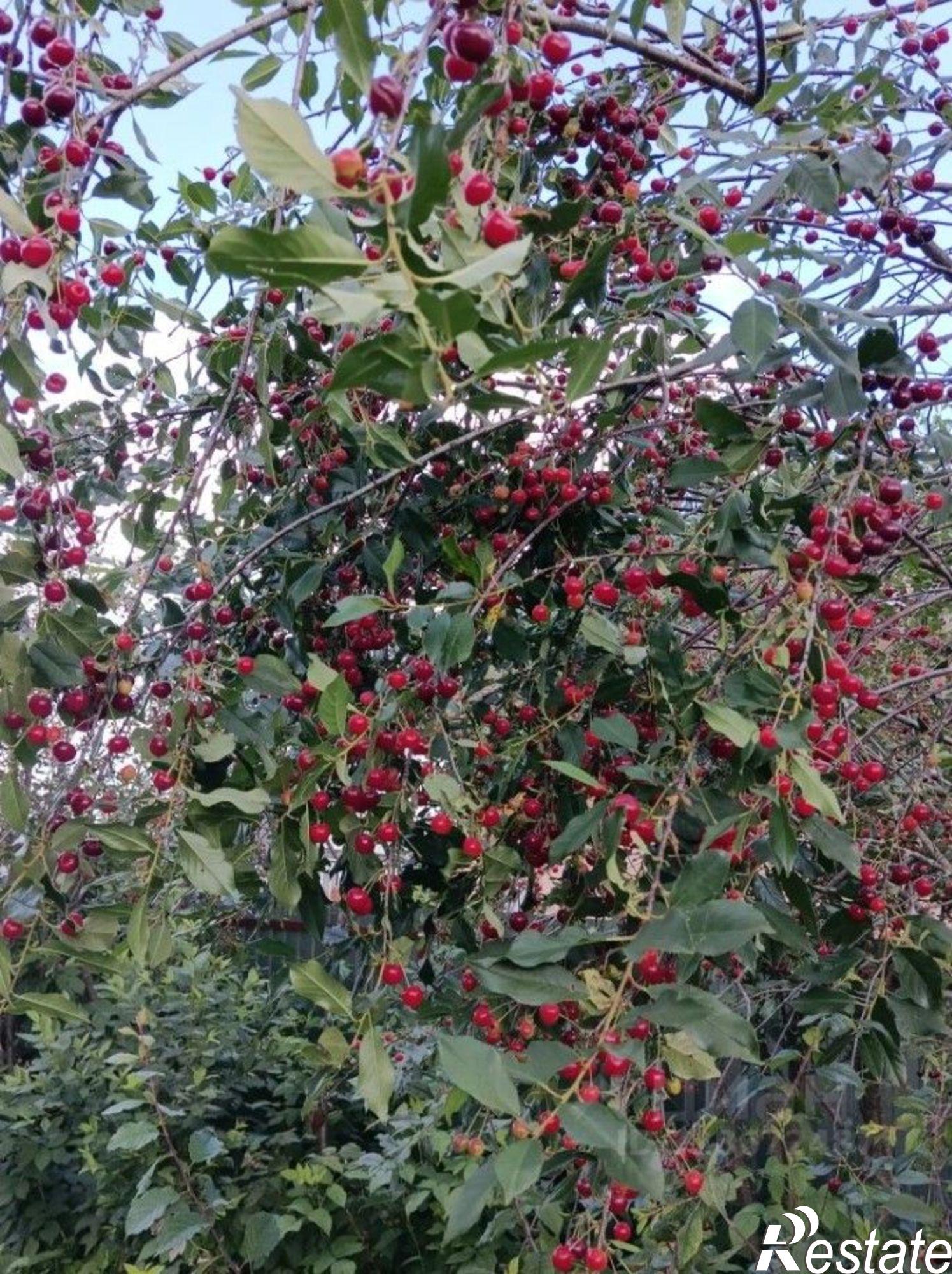 Купить дачу, дом, коттедж за 900 000 рублей на ул Ульяновых, 27