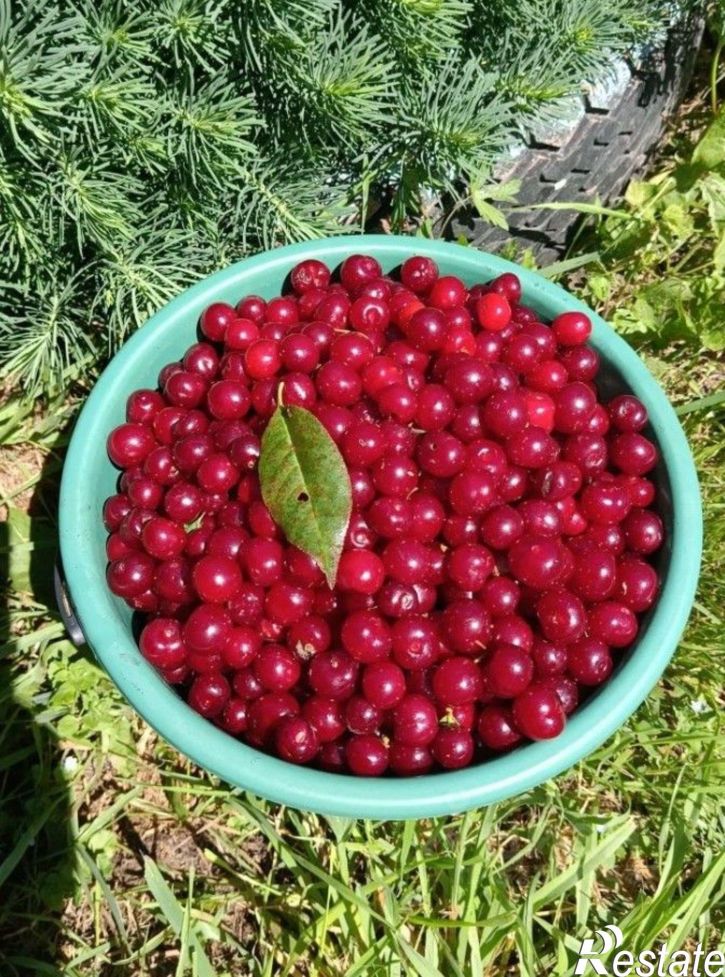 Коттедж/дом ул Ульяновых, 27,  д. 27