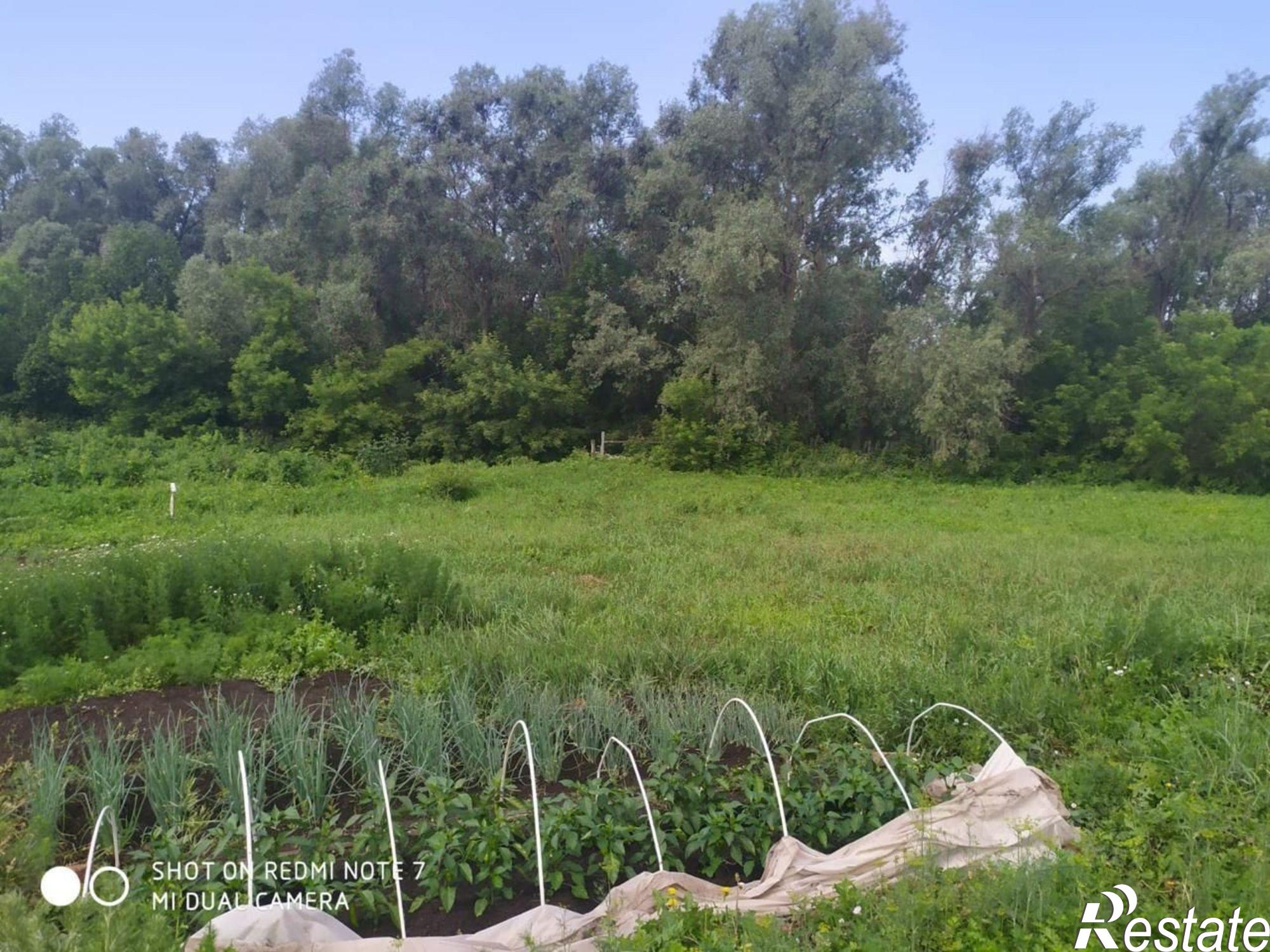 Купить дачу, дом, коттедж за 2 000 000 рублей