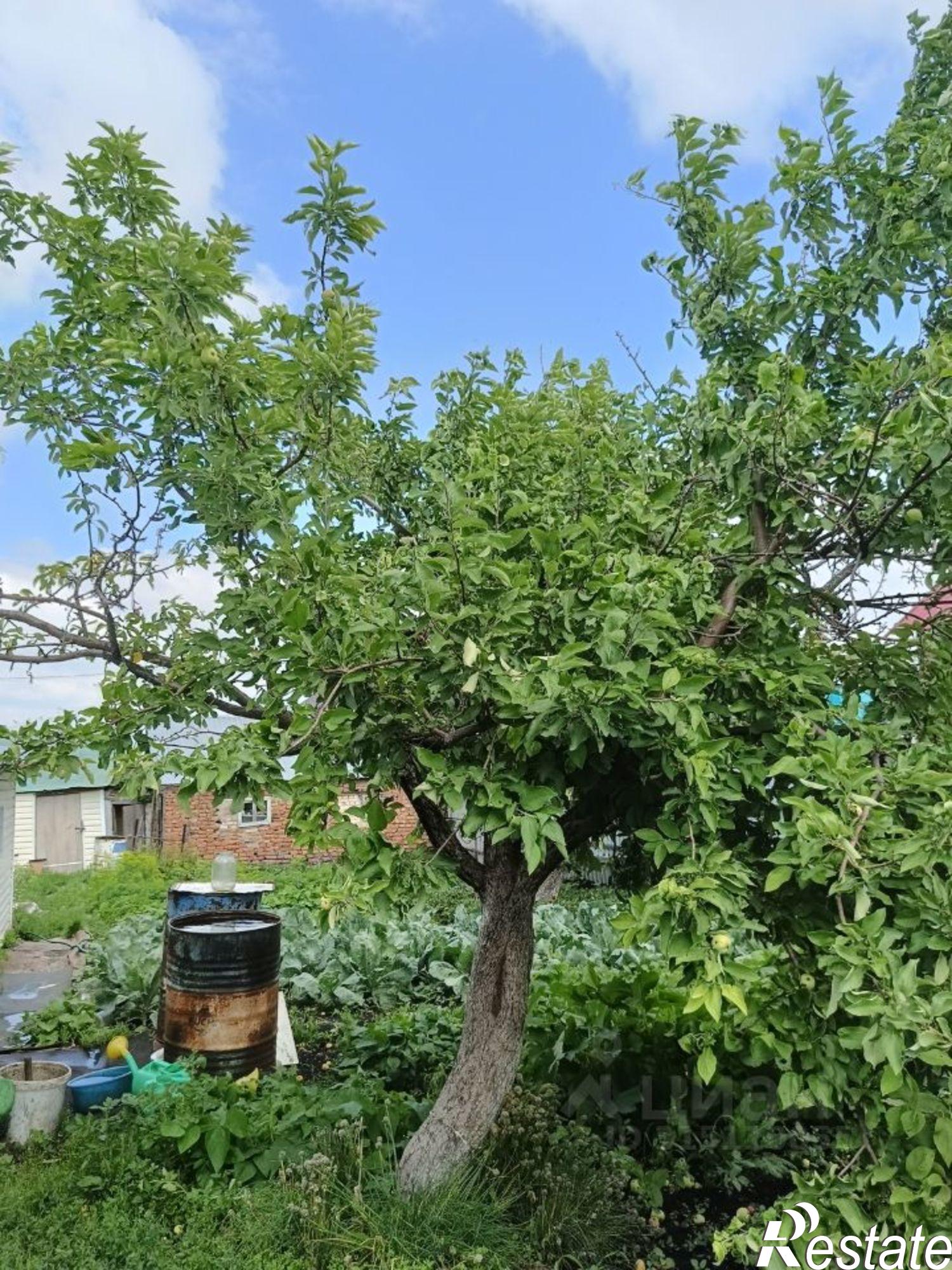 Купить дачу, дом, коттедж за 4 500 000 рублей на ул Кирова, 50