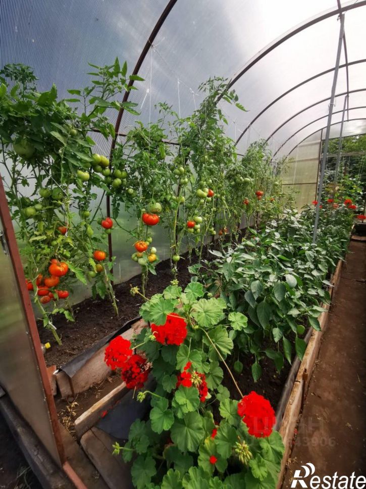 Коттедж/дом Пролетарская улица, 41Б,  д. 41Б