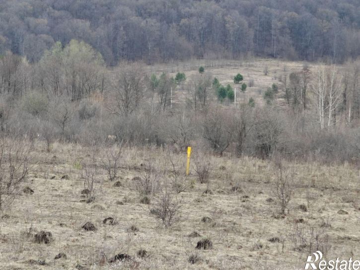 Земельный участок Гафурийский район