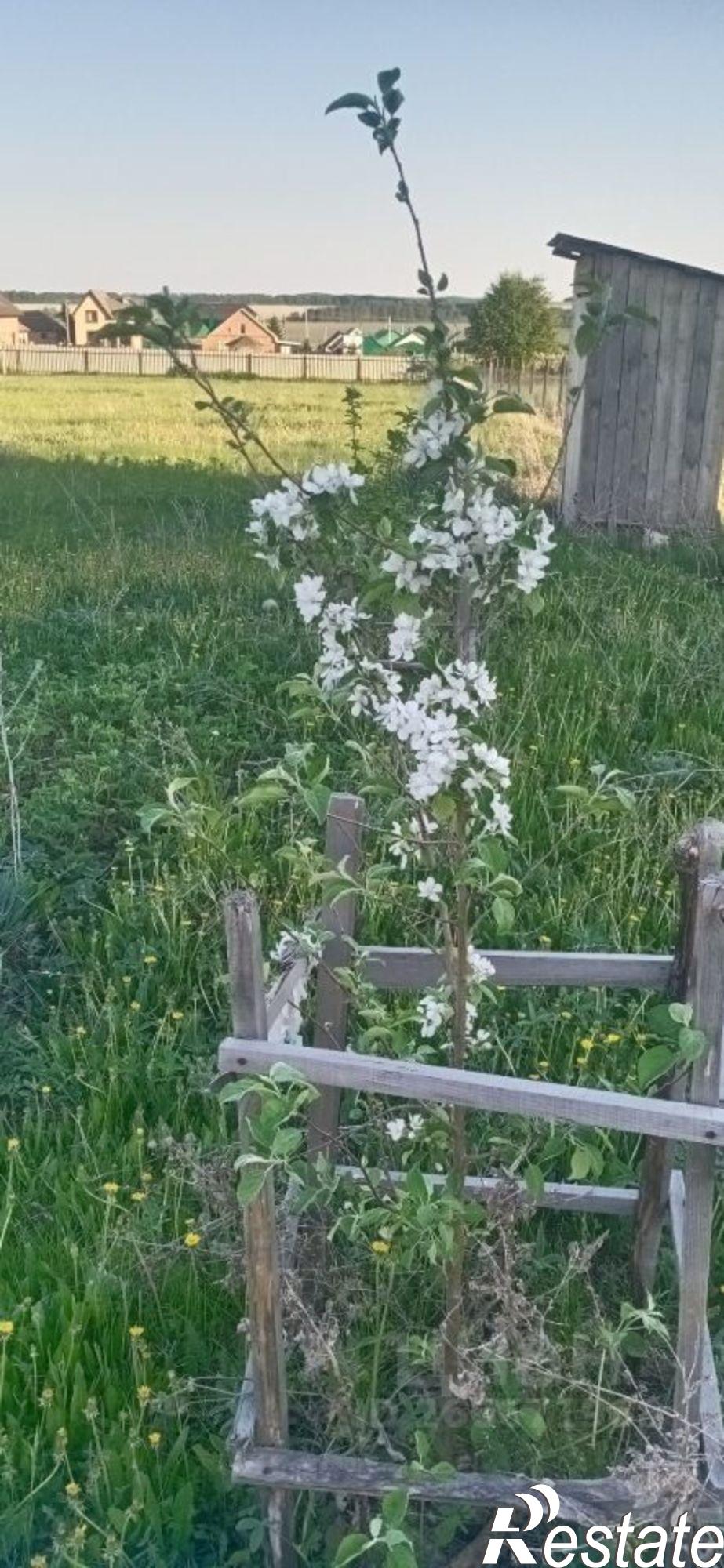 Купить дачу, дом, коттедж за 4 300 000 рублей на ул Молодёжная