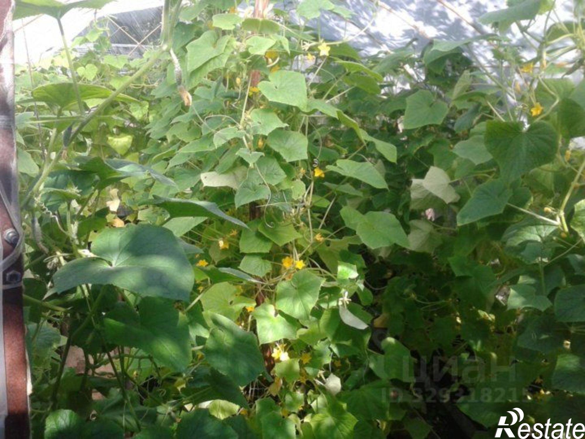 Купить дачу, дом, коттедж за 240 000 рублей на Иглинский район