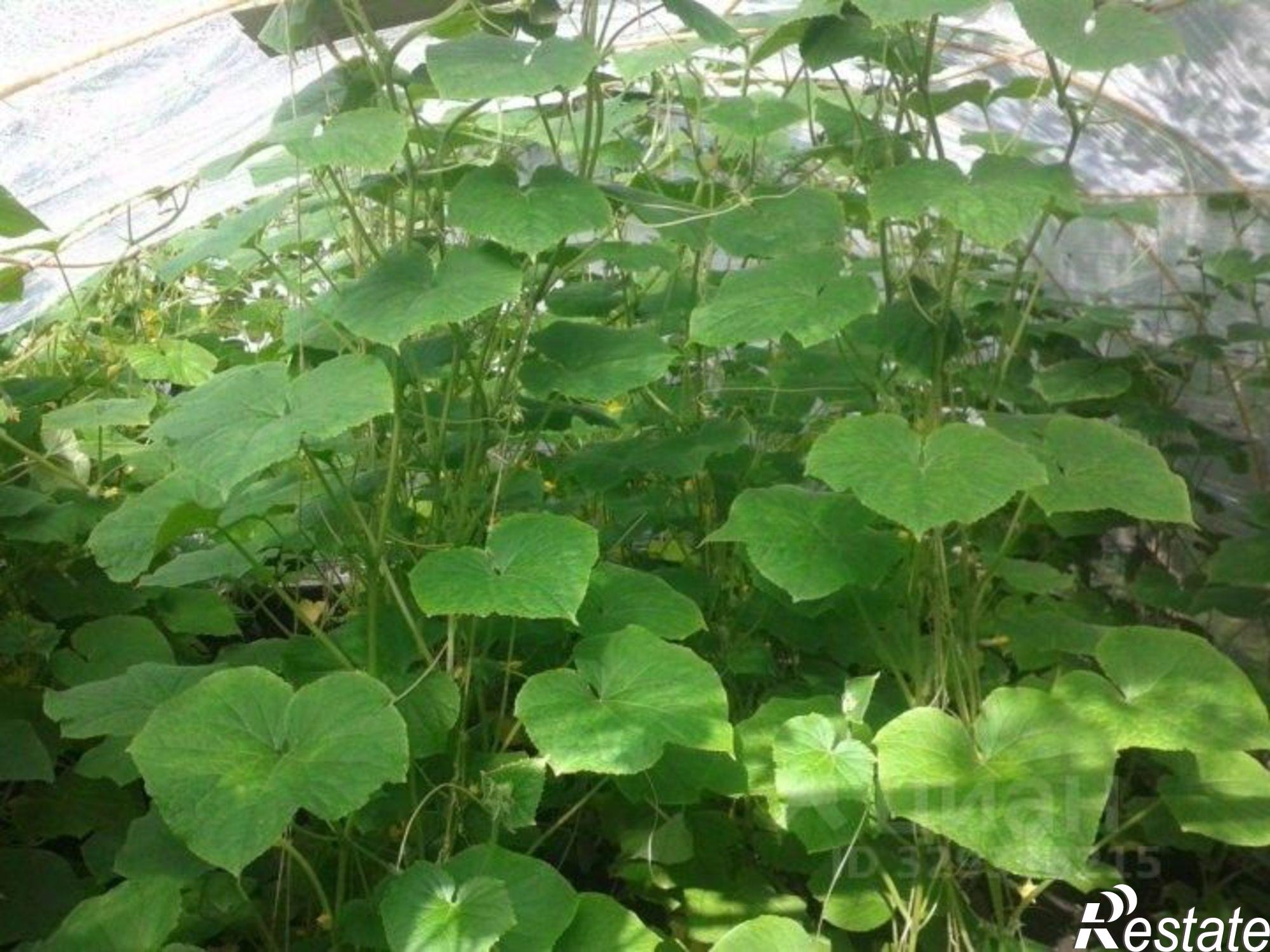 Купить дачу, дом, коттедж за 240 000 рублей на Иглинский район