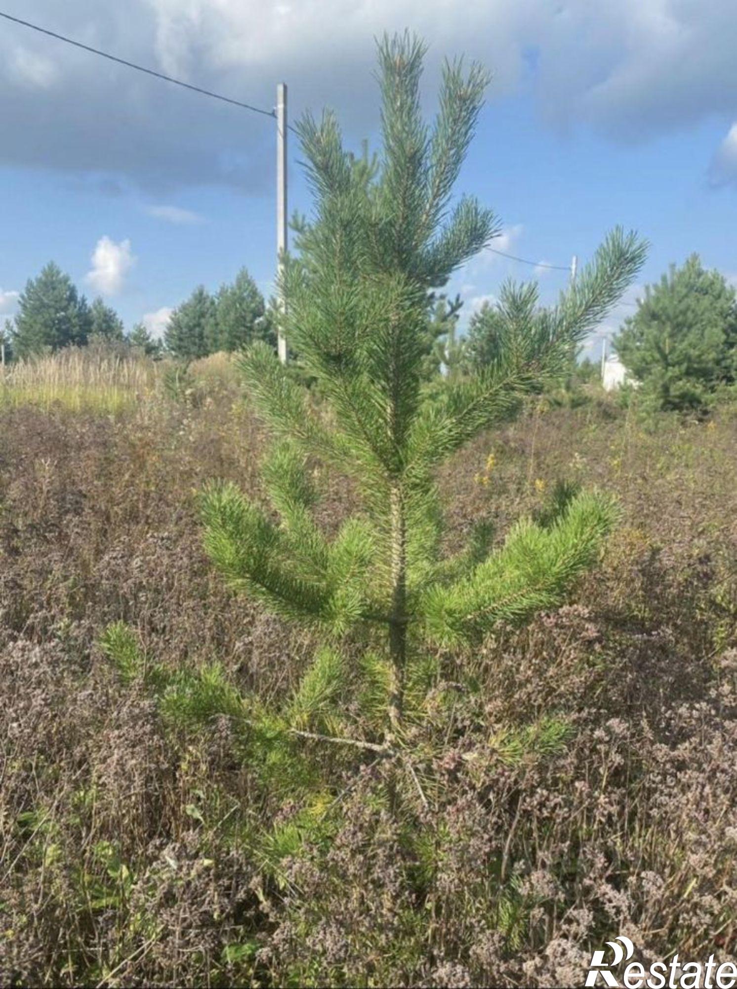 Купить землю, земельный участок за 420 000 рублей