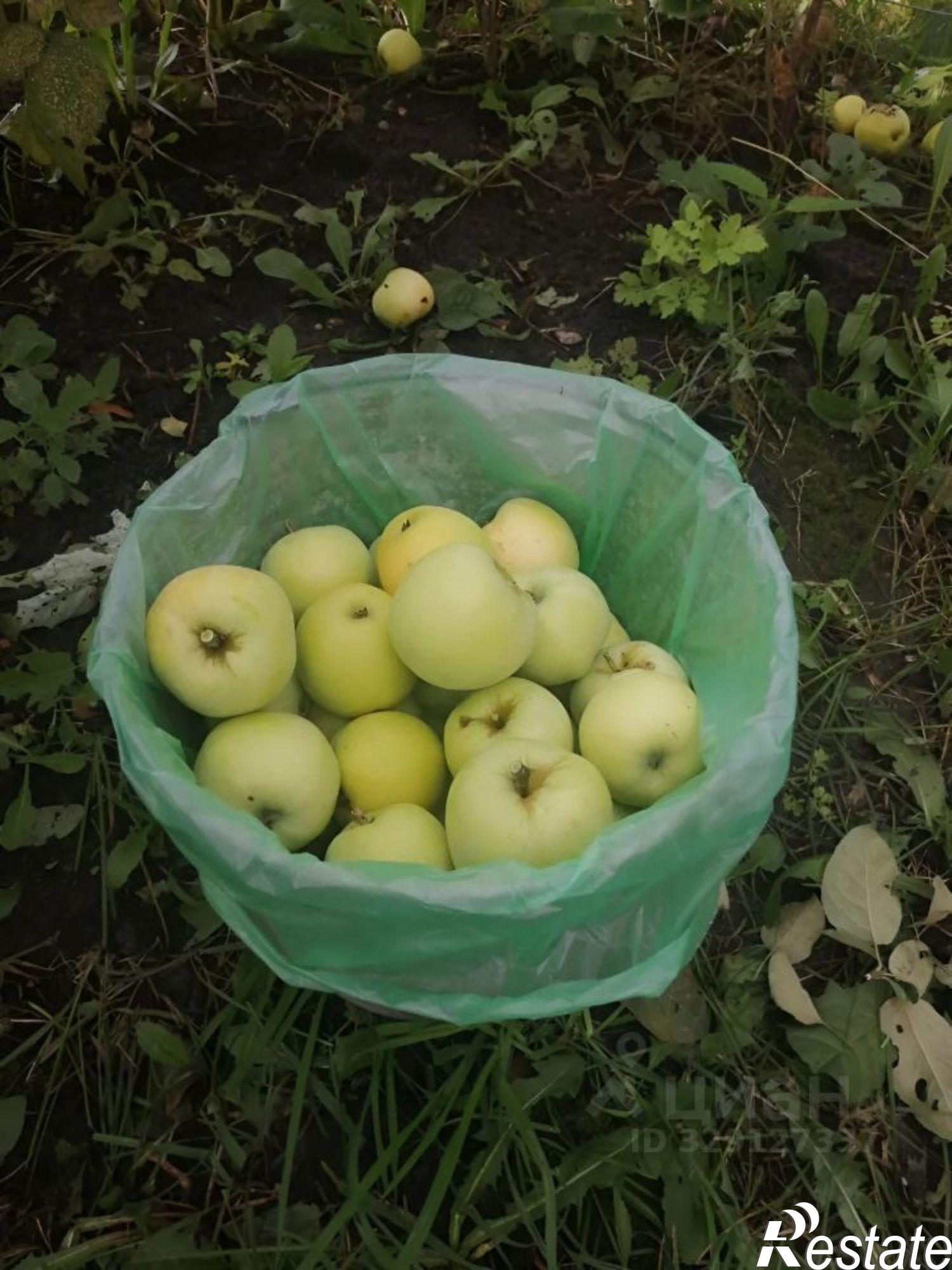 Купить дачу, дом, коттедж за 800 000 рублей